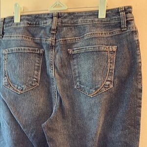 Bandolino Blue Straight Leg Jeans Classic Denim Size 12 short